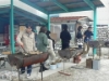 Ļ������¼�ˡ֥����ο�������פ�Ź�����ѡݥΥ������륹�Фͤ�